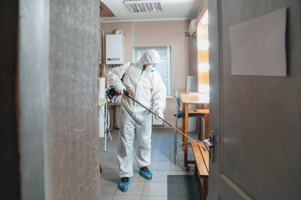 Best Mold Documentation for Insurance Claims  in Chama, NM