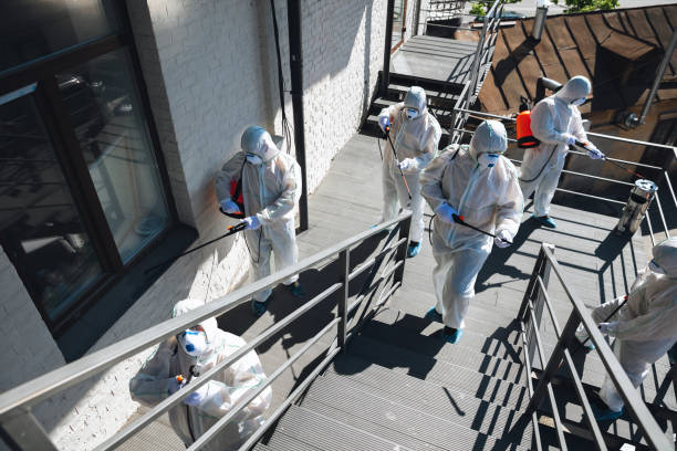 Best Crawl Space Mold Remediation  in Chama, NM