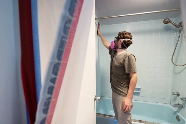 Best Mold Damage Restoration  in Chama, NM