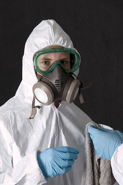 Best Mold Prevention Services  in Chama, NM